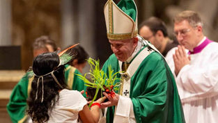 Pope Francis' Amazon exhortation calls for holiness, not married priests