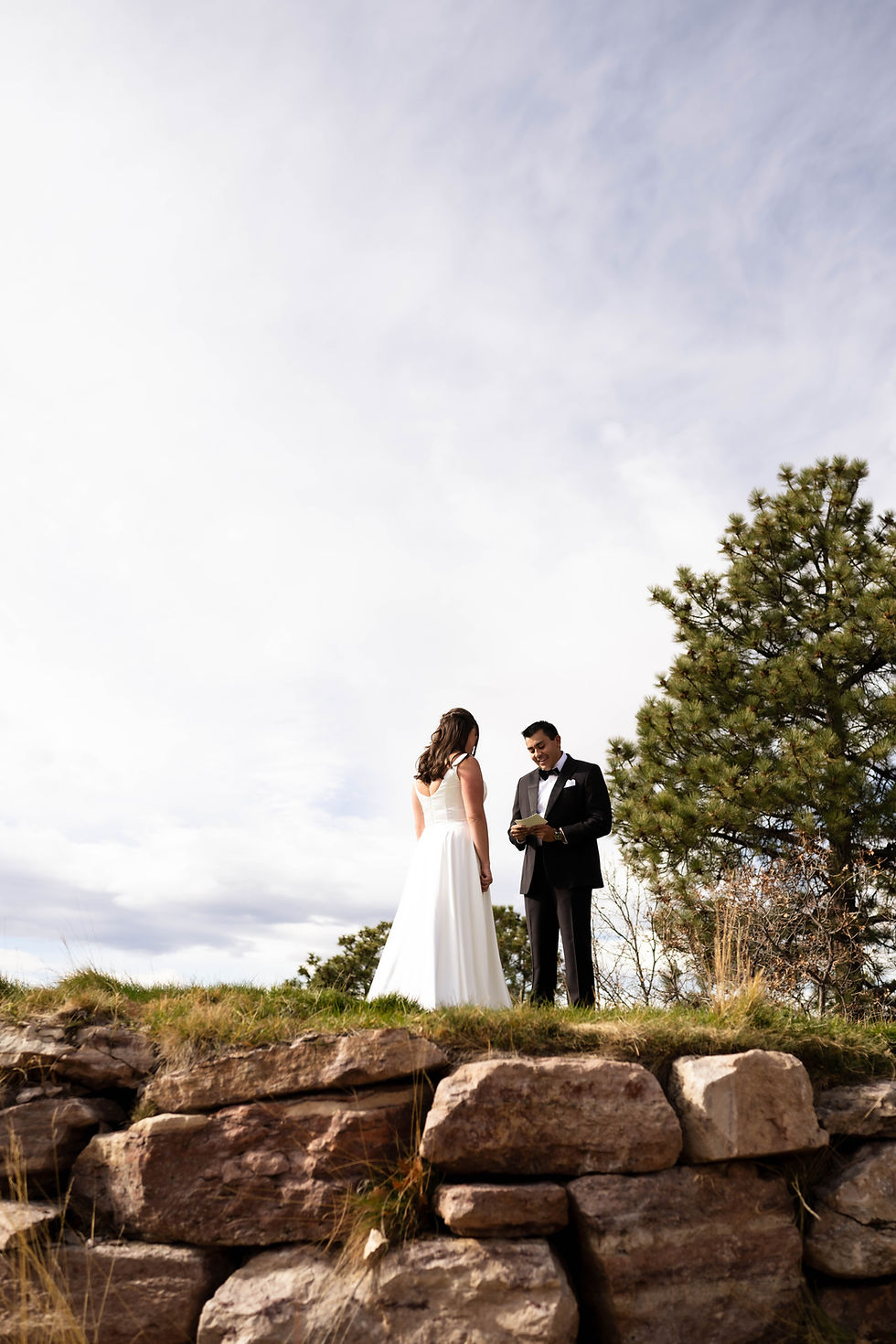Bride and groom stand on rocky hilltop in a picturesque outdoor setting, exchanging vows under a cloudy sky with a pine tree nearby.