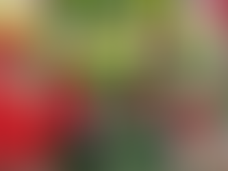 Elderly man in red robe talks to kids in uniforms sitting on grass. Sunny park setting, trees and people in background. Peaceful mood.