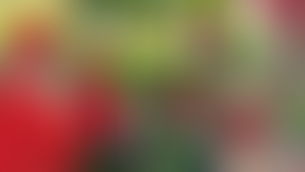 Elderly man in red robe talks to kids in uniforms sitting on grass. Sunny park setting, trees and people in background. Peaceful mood.