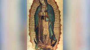 A woman in a blue starry cloak and floral robe prays, surrounded by a golden aura. She stands on a crescent moon, with an angel below.