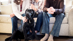 Three people sit on a beige couch with a black Labrador dog. The scene is warm and cozy with natural light, creating a joyful mood.