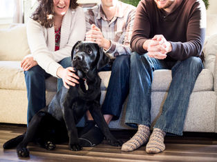Three people sit on a beige couch with a black Labrador dog. The scene is warm and cozy with natural light, creating a joyful mood.