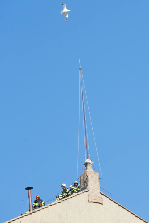 Two firefighters on a rooftop, one in red and one in white helmet, under a clear blue sky with a seagull flying above.