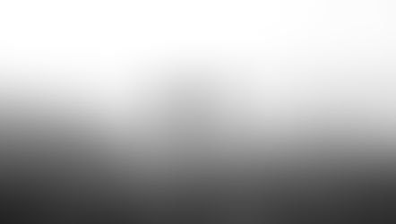 Two people walk along a foggy rural path beside a fence, with misty fields in the background. The mood is serene and monochromatic.