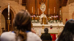 Come and Adore! A Call to Live the Epiphany in the Blessed Sacrament