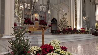 Jubilee Year of Hope to Begin in Denver: Local Pilgrimage Sites, Indulgences and a Renewed Call to Trust in God