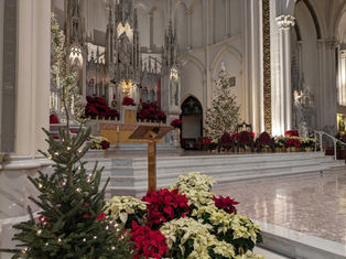Jubilee Year of Hope to Begin in Denver: Local Pilgrimage Sites, Indulgences and a Renewed Call to Trust in God