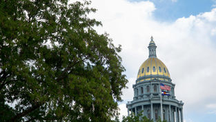 Golden dome of a capitol building with US and state flags flying. Tree in foreground, blue sky with clouds in background. Calm atmosphere.