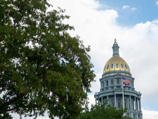 Golden dome of a capitol building with US and state flags flying. Tree in foreground, blue sky with clouds in background. Calm atmosphere.