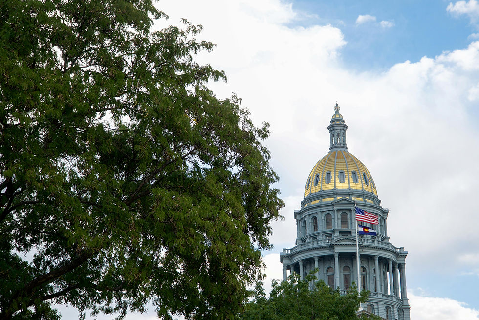 Golden dome of a capitol building with US and state flags flying. Tree in foreground, blue sky with clouds in background. Calm atmosphere.