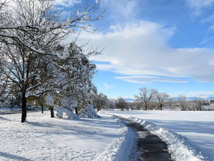 A season of generosity: End the year with a heart full of giving