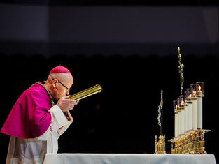 A bishop in pink and white attire kisses a gold object in a dimly lit space. Candles and a crucifix are on the altar. solemn mood.