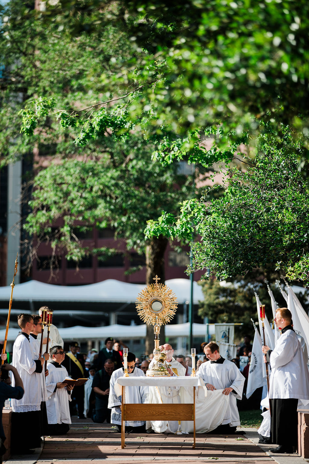 Outdoor Catholic procession with priests in white robes around a golden monstrance, framed by trees and flags.