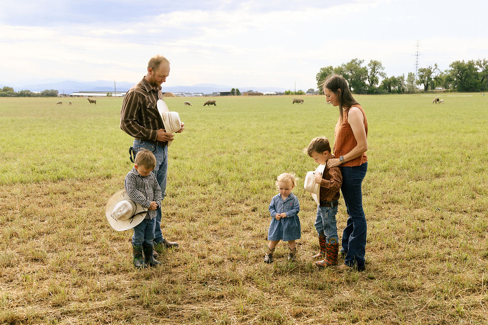 Family with three kids stands in a grassy field, holding hats. Sheep graze in the distance under a blue sky. Calm, rural scene.