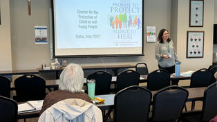 Woman presents to a small group in a conference room with a screen displaying "Promise to Protect, Pledge to Heal." Attentive audience.