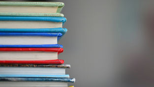 Stack of colorful books with green, blue, red, and yellow spines, against a soft, blurred gray background.