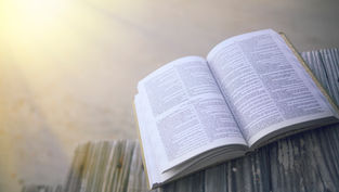 Open book on wooden bench with sunlight streaming, pages filled with dense text. Warm, serene atmosphere.
