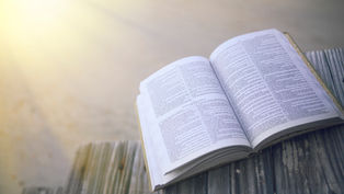 Open book on wooden bench with sunlight streaming, pages filled with dense text. Warm, serene atmosphere.