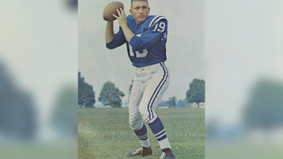 Football player in blue jersey number 19 poised to throw a football on a grassy field. Trees and a clear sky in the background.
