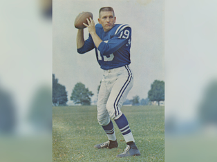 Football player in blue jersey number 19 poised to throw a football on a grassy field. Trees and a clear sky in the background.