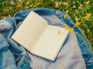 The Summer Reading List, 2025 Edition