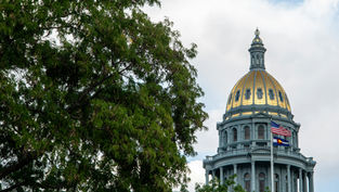 Golden-domed building with American and Colorado flags, partially obscured by lush green tree, under a cloudy sky.