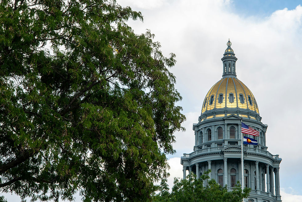 Golden-domed building with American and Colorado flags, partially obscured by lush green tree, under a cloudy sky.