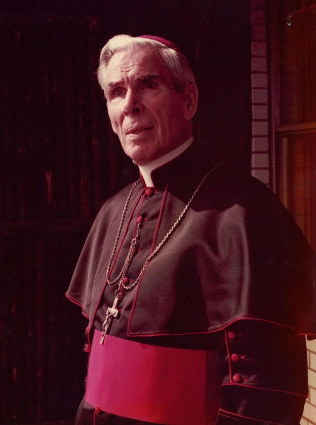 Elderly Catholic bishop in black and magenta vestments, wearing a cross necklace, standing solemnly by a brick wall.