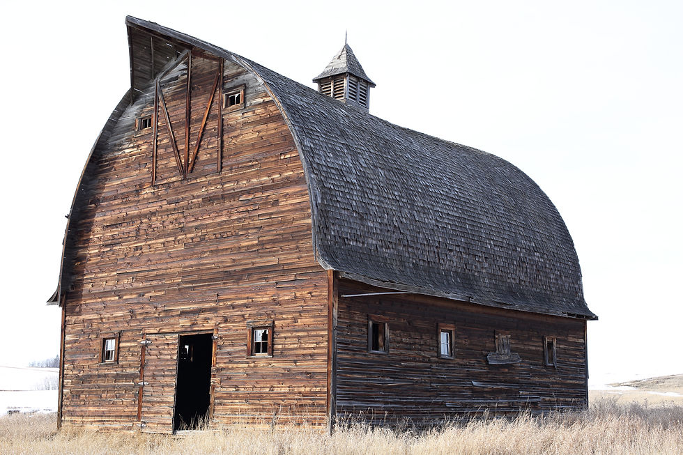Old wooden barn with a curved roof in a grassy field under a clear sky. Weathered texture and small windows add rustic charm.
