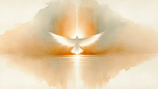 The Power of Peace: The Call to Reconciliation on the World Day of Peace