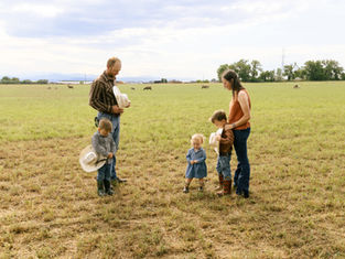 Family with three kids stands in a grassy field, holding hats. Sheep graze in the distance under a blue sky. Calm, rural scene.