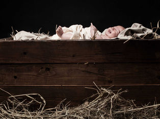 Hope Springs Eternal this Christmas: An Interview with Sr. Miriam James Heidland, SOLT