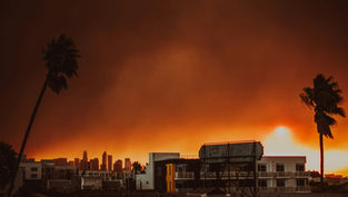How to Help Those Impacted by the Southern California Wildfires