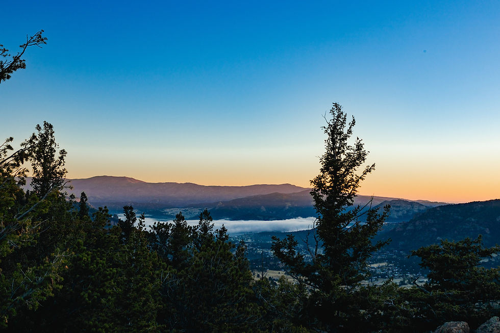 Trees in the foreground with a sunrise over distant mountains, a clear sky, and a layer of clouds, creating a serene landscape.