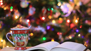 Books for Christmas 2025