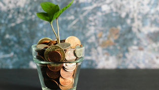 Glass filled with coins and a sprouting plant. Background is textured blue-gray, evoking growth and financial prosperity.