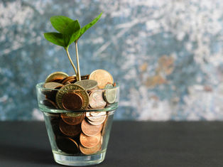 Glass filled with coins and a sprouting plant. Background is textured blue-gray, evoking growth and financial prosperity.