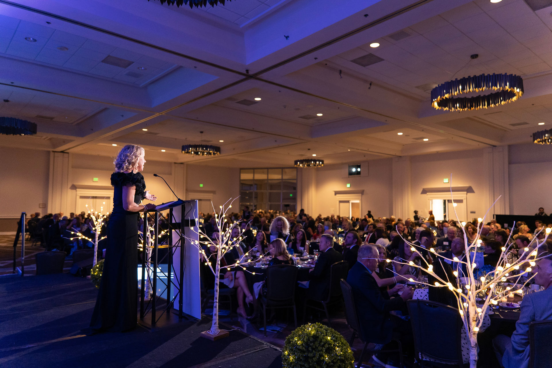 A woman in black dress speaks at a podium in a dimly lit banquet hall filled with seated guests. Decorative lit branches frame the scene.