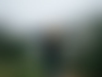 Woman in a dark coat stands with arms outstretched in a foggy, lush green mountain setting, expressing joy and freedom.