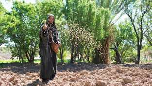 A person in traditional attire scatters seeds on plowed soil. Green trees in the background. Daytime, calm and natural setting.