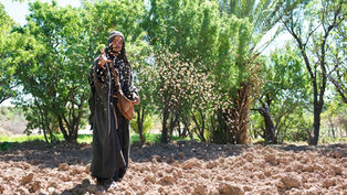 A person in traditional attire scatters seeds on plowed soil. Green trees in the background. Daytime, calm and natural setting.