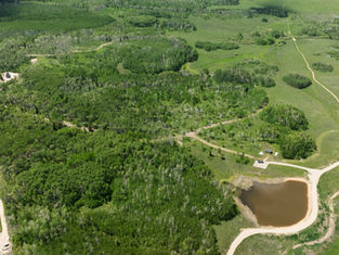 Aerial view of lush green forest, dirt roads, and a small pond in a rural area. Roads intersect near a single building.