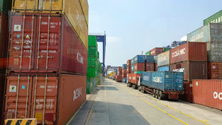 Stacked shipping containers in various colors line a port with trucks nearby. A clear sky background and road markings indicate a busy dock.