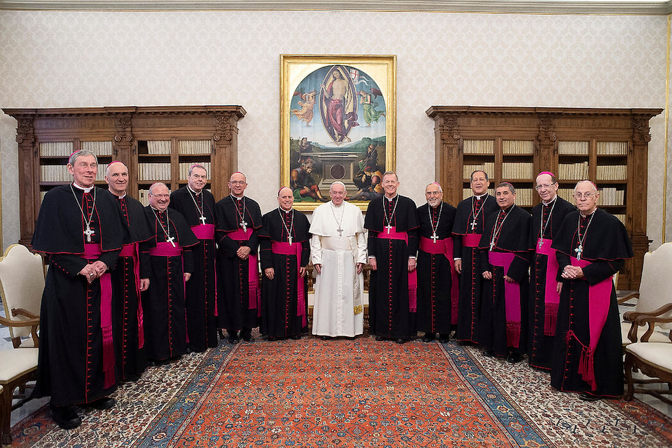 A group of clergy in black and pink robes poses in a room with a large painting. Wooden shelves with books line the walls. Entourage looks pleased.