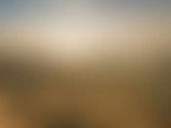 Sunset over a desert landscape with sparse bushes, distant mountains, and a vapor trail in the sky, creating a warm, tranquil scene.