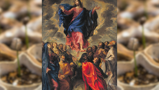 Religious painting of a central figure in red and blue robes ascending into a cloudy sky, surrounded by a group of gazing people.