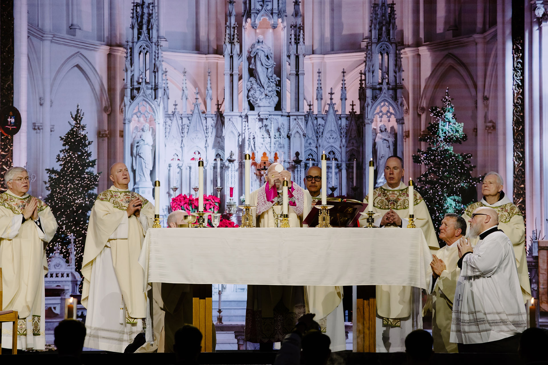 Priests in ornate robes conduct a Mass in a grand cathedral, with lit candles and Christmas trees in the background, creating a solemn atmosphere.