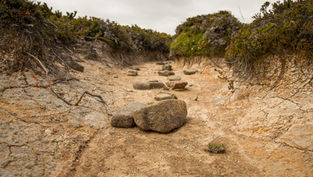 Rocky dry riverbed with scattered stones and earth walls. Surrounding greenery on top. Cloudy sky adds a serene, desolate atmosphere.