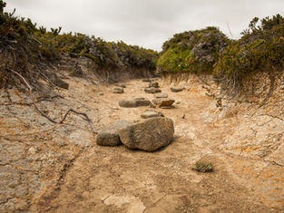 Rocky dry riverbed with scattered stones and earth walls. Surrounding greenery on top. Cloudy sky adds a serene, desolate atmosphere.